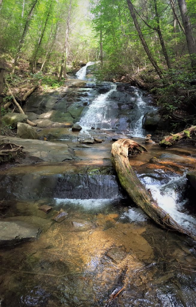 fall branch falls